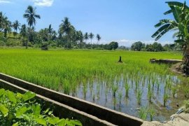Land for sale in Matab-Ang, Cebu