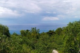 Land for sale in Maslog, Cebu