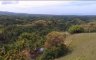Land for sale in Bagumbayan, Bohol