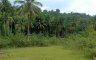 Land for sale in Kandingan, Cebu