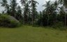 Land for sale in Kandingan, Cebu