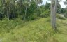 Land for sale in Kandingan, Cebu
