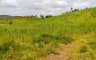 Land for sale in Loong, Cebu