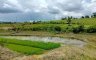 Land for sale in Lomangog, Bohol