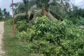 Land for sale in Boctol, Bohol