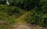 Land for sale in Loon, Bohol