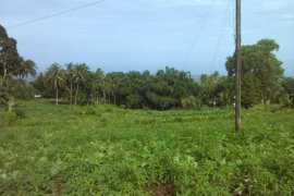 Land for sale in Malabago, Negros Oriental