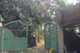 Land for sale in Malanay, Pangasinan