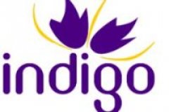 Indigo Chiang Mai Real Estate Indigo Chiang Mai Real Estate
