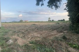 Land for sale in Nong Rai, Rayong