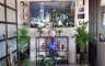 1 Bedroom Condo for sale in Pattaya, Chonburi
