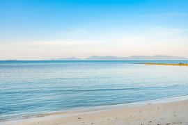 Land for sale in Surat Thani