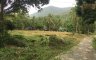Land for sale in Ko Samui, Surat Thani