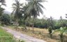 Land for sale in Ko Samui, Surat Thani