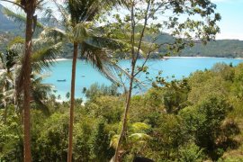 Land for sale in Surat Thani