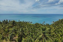 Land for sale in Ban Tai, Surat Thani