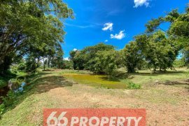 Land for sale in Luang Nuea, Chiang Mai