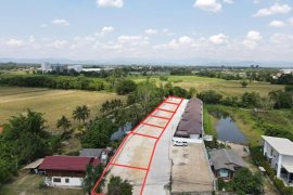 Land for sale in Luang Nuea, Chiang Mai
