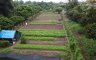 Land for sale in Yu Wa, Chiang Mai