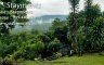 Land for sale in Ban Pong, Chiang Mai