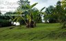 Land for sale in Ban Pong, Chiang Mai