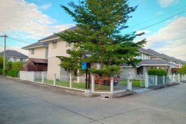 House for rent in Nong Chom, Chiang Mai