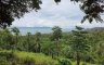 Land for sale in Surat Thani