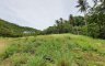 Land for sale in Surat Thani