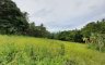 Land for sale in Surat Thani