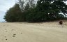 Land for sale in Ko Samui, Surat Thani