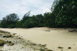 Land for sale in Ko Samui, Surat Thani