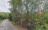 Land for sale in Nong Nam Daeng, Nakhon Ratchasima