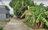 Land for sale in Lam Luk Ka, Pathum Thani