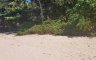 Land for sale in Ko Siboya, Krabi
