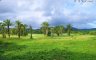 3 Bedroom Villa for rent in Kathu, Phuket