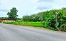 Land for sale in Thalang, Phuket