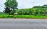 Land for sale in Thalang, Phuket