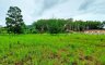 Land for sale in Thalang, Phuket