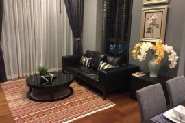 1 Bedroom Condo for rent in Quattro by Sansiri, Khlong Tan Nuea, Bangkok near BTS Thong Lo