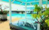 2 Bedroom Condo for sale in Klaeng, Rayong