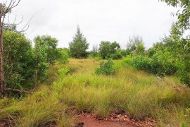 Land for sale in Kram, Rayong