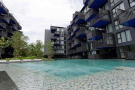 2 Bedroom Condo for rent in THE DECK Patong, Patong, Phuket