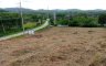 1 Bedroom Condo for sale in Thep Krasatti, Phuket