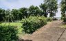 Land for sale in Hua Hin, Prachuap Khiri Khan