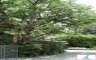Apartment for rent in Khlong Toei Nuea, Bangkok near MRT Sukhumvit