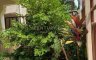 4 Bedroom Townhouse for rent in Khlong Tan Nuea, Bangkok near MRT Sukhumvit