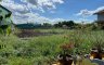 Land for sale in Ban Mai, Nonthaburi