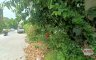 Land for sale in Pattaya, Chonburi