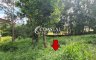 Land for sale in Nong Pla Lai, Chonburi