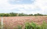 Land for sale in Pattaya, Chonburi